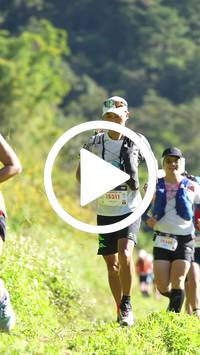 BIB:  <button type="button" onclick="openModal(26578416)" class="btn btn-primary btn-sm float-right" data-toggle="modal" data-target=".modal-high-quality">
                <i class="fa fa-download"></i> Download
                </button>